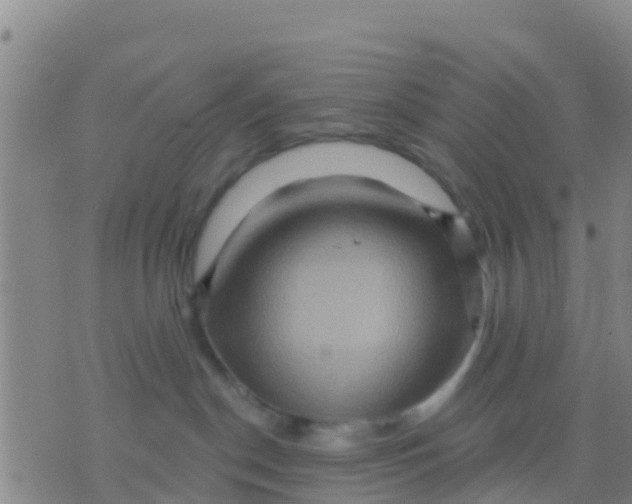 X0000075830190200610061831