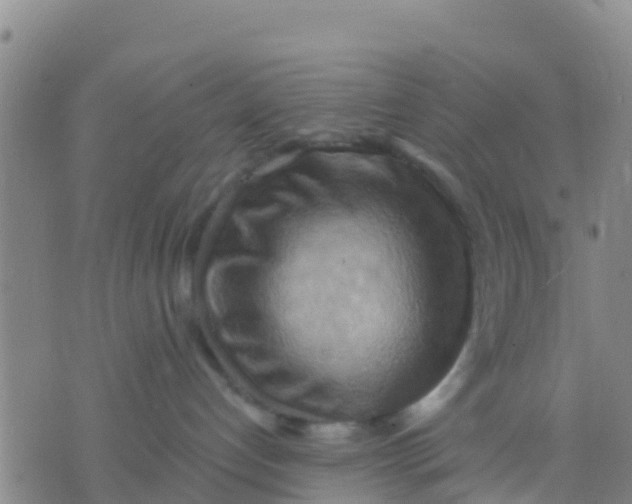 X0000075830192200610061831