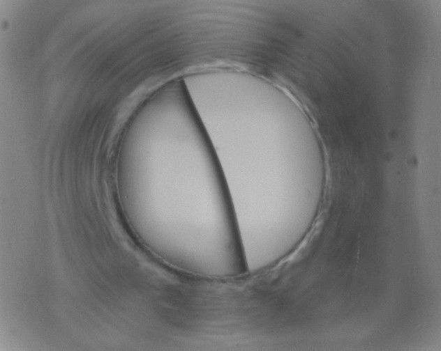 X0000075830193200610061831