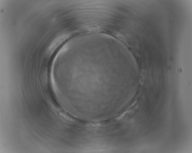 X0000075830194200610061830