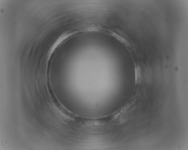 X0000075830195200610061830