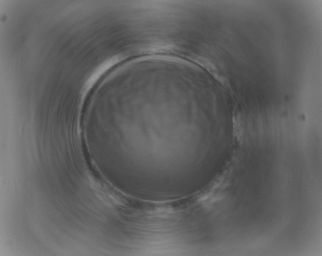 X0000075830196200610061830