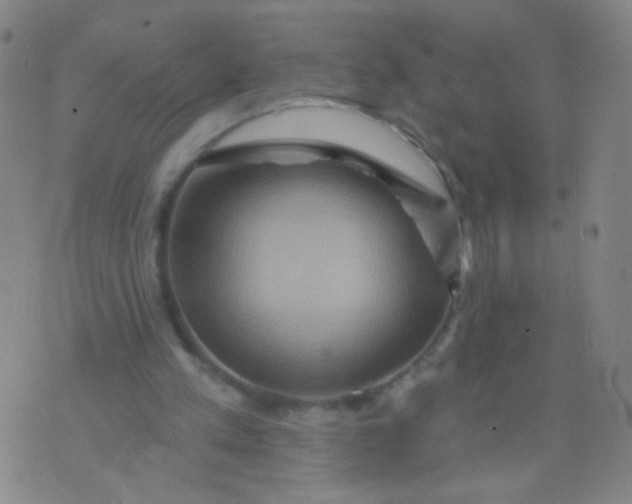 X0000075830197200610061830