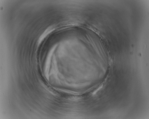 X0000075830198200610061830