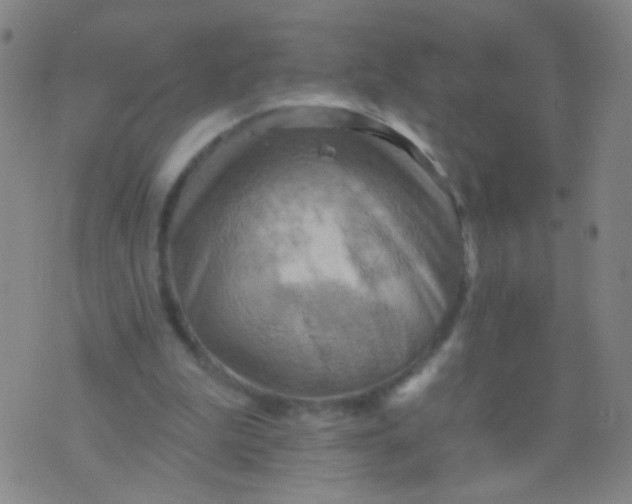 X0000075830199200610061830