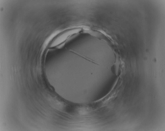 X0000075830200200610061830