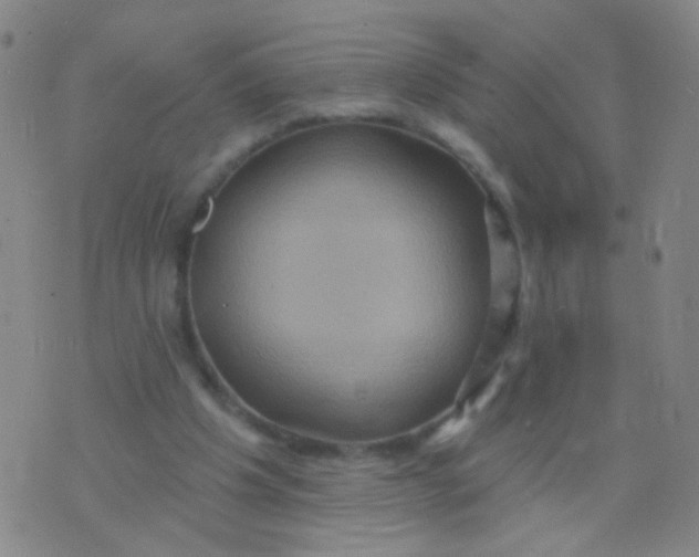 X0000075830201200610061830