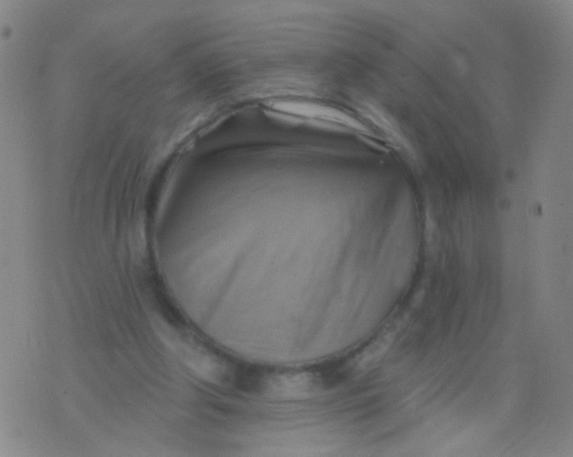 X0000075830202200610061830