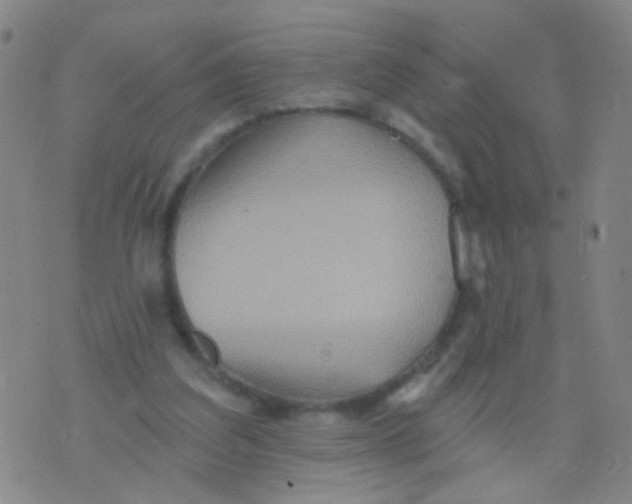 X0000075830203200610061830