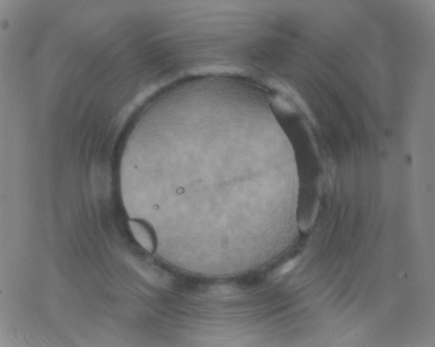 X0000075830204200610061830