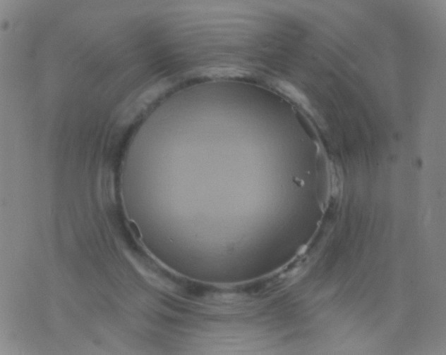 X0000075830205200610061830