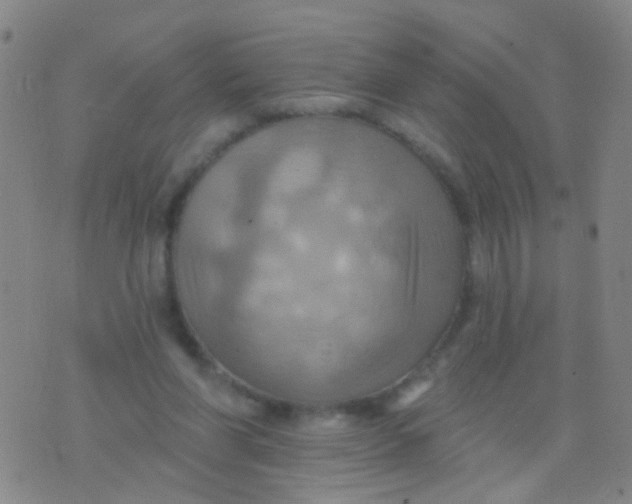 X0000075830206200610061830