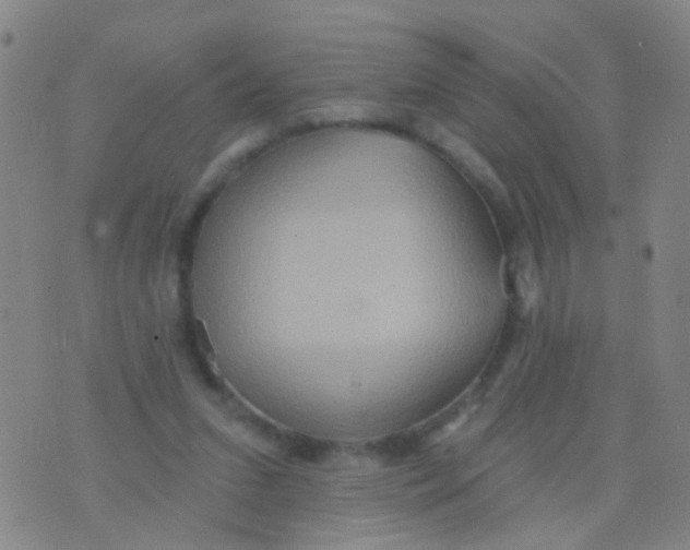 X0000075830207200610061830