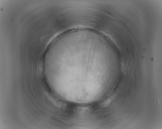 X0000075830208200610061830