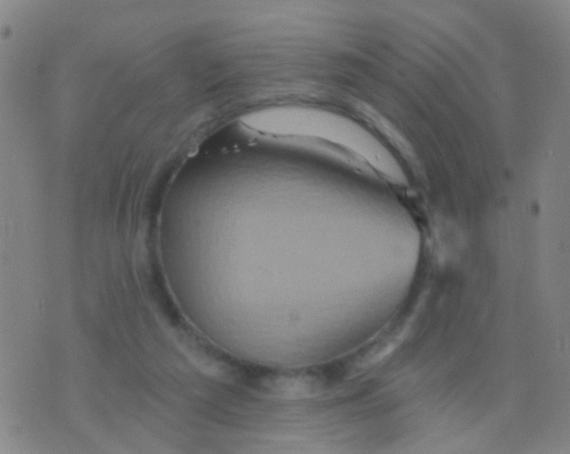 X0000075830209200610061830