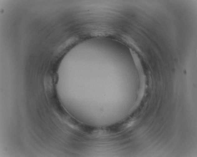 X0000075830211200610061830