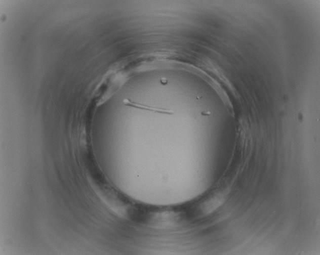 X0000075830212200610061830