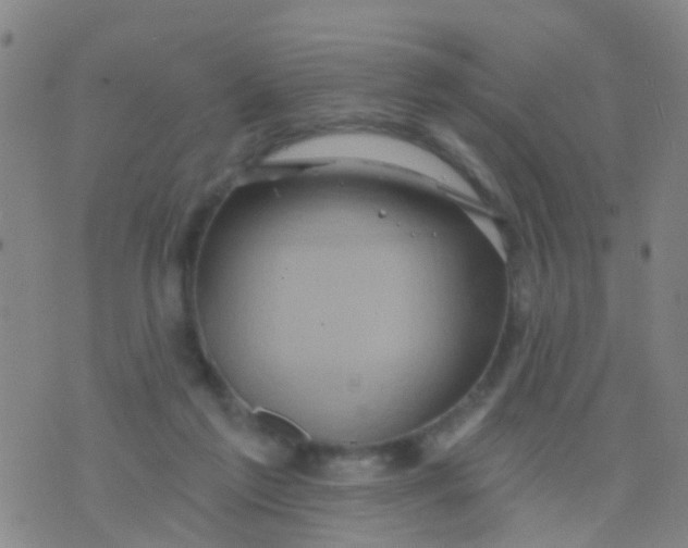 X0000075830213200610061830