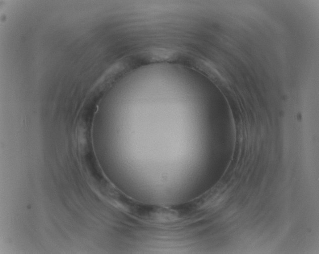 X0000075830215200610061830