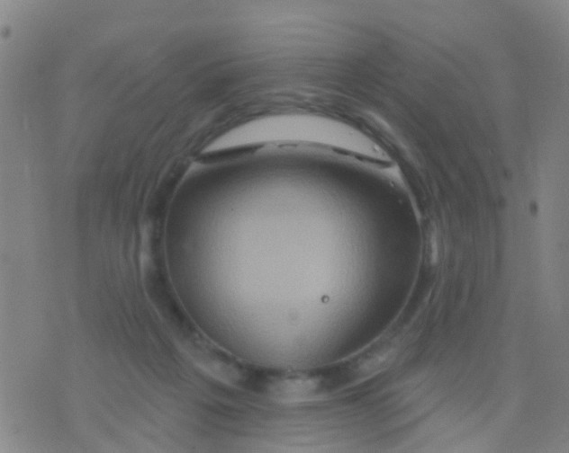 X0000075830217200610061830