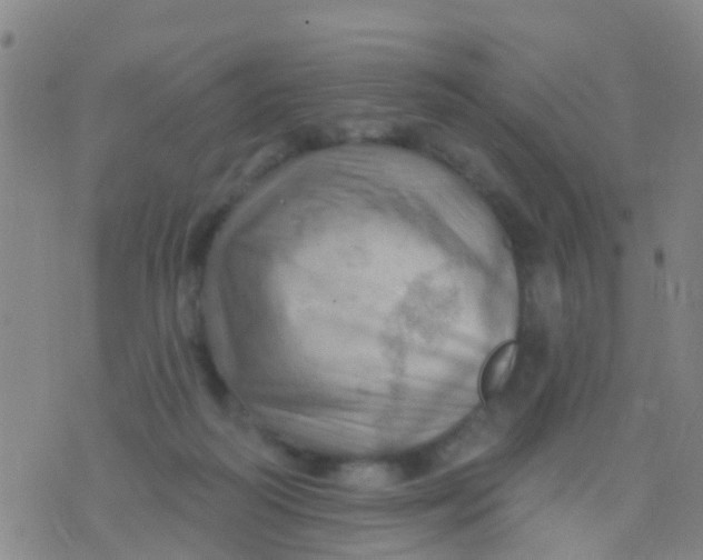 X0000075830218200610061830