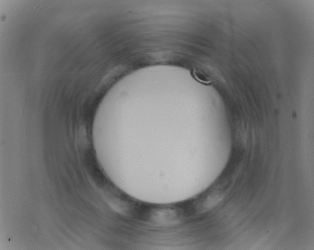 X0000075830220200610061830