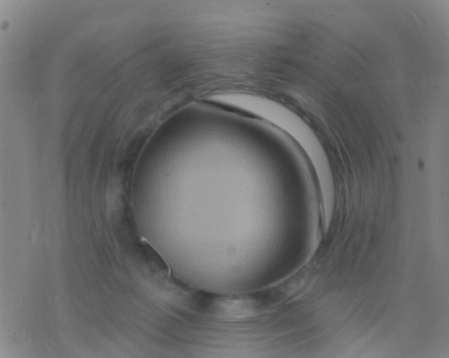 X0000075830221200610061830