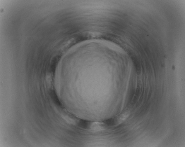 X0000075830222200610061830