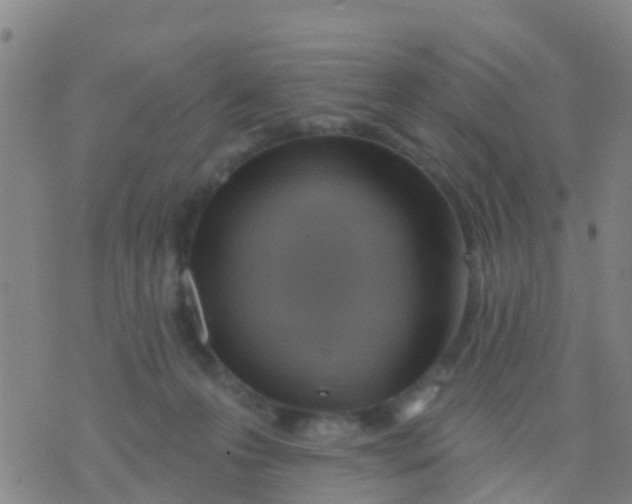 X0000075830223200610061830