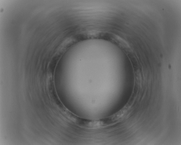 X0000075830225200610061830