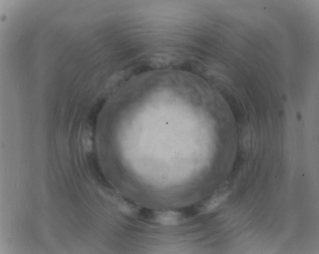 X0000075830226200610061830