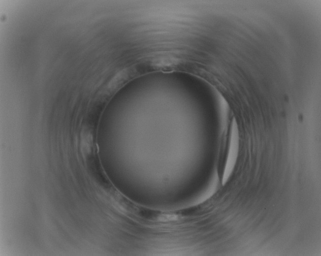 X0000075830227200610061830