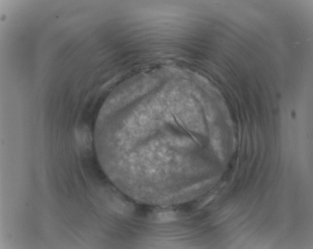 X0000075830228200610061830