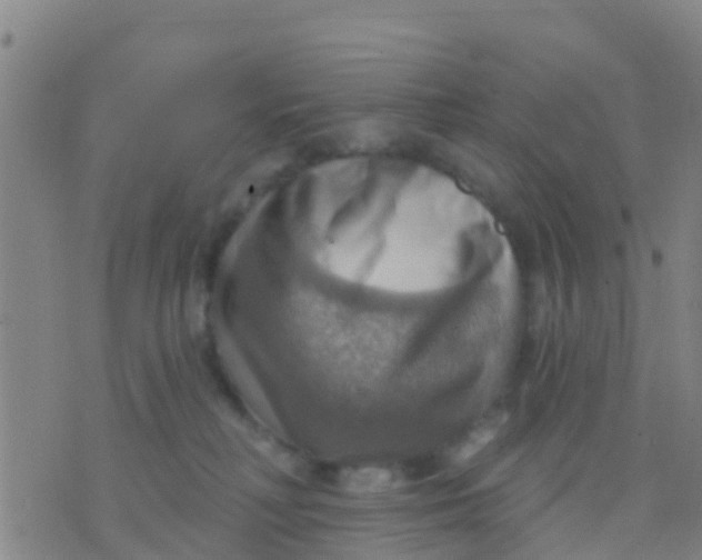 X0000075830230200610061830