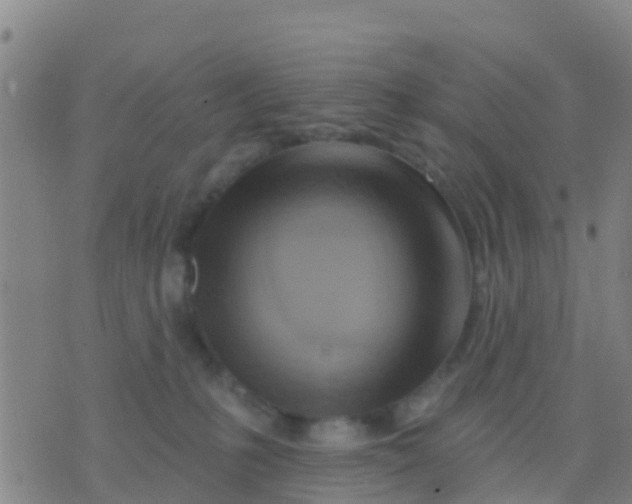 X0000075830231200610061830