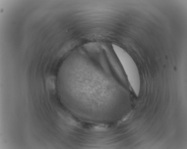 X0000075830232200610061830