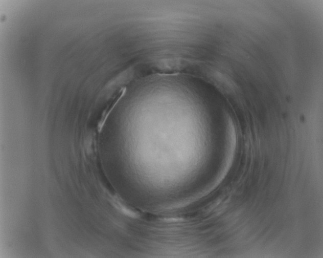 X0000075830233200610061830