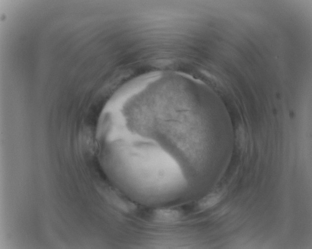 X0000075830234200610061830