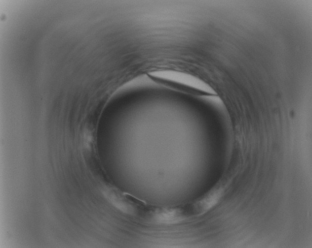 X0000075830235200610061830