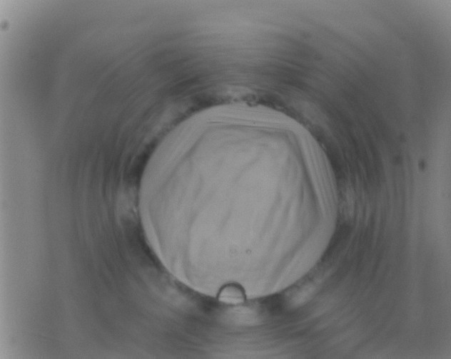 X0000075830236200610061830