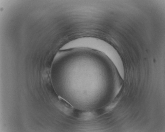 X0000075830237200610061830