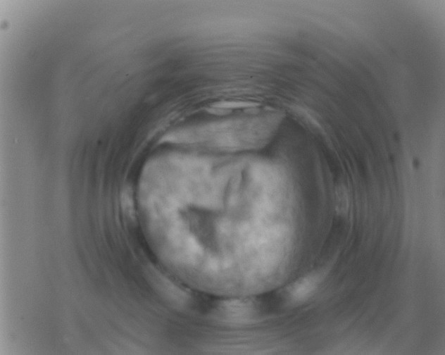 X0000075830238200610061830