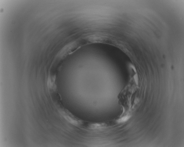 X0000075830239200610061830