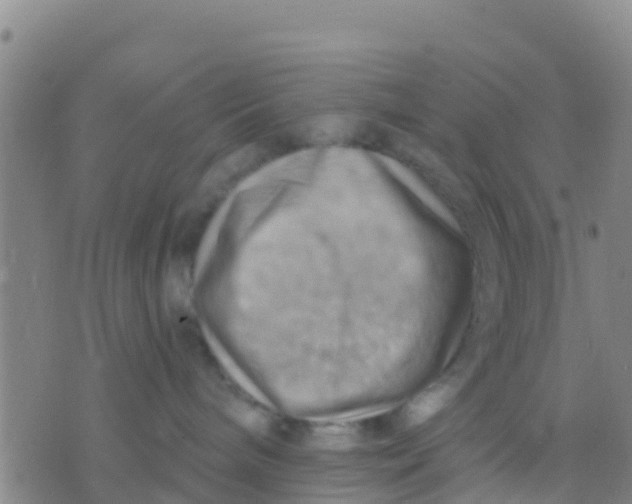 X0000075830240200610061830