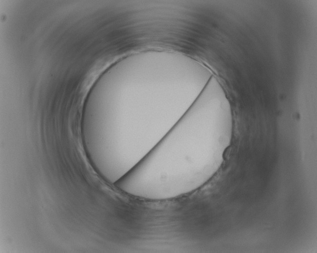 X0000075830241200610061829