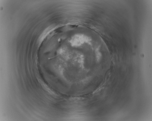 X0000075830242200610061829