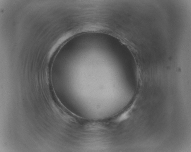 X0000075830244200610061829