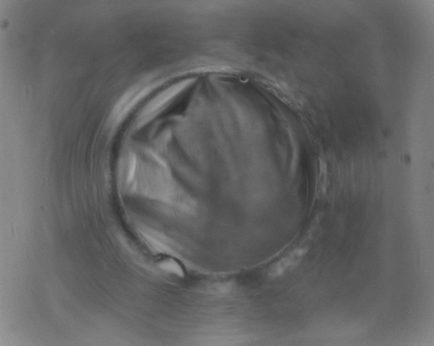 X0000075830247200610061829