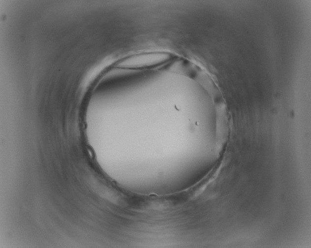 X0000075830248200610061829