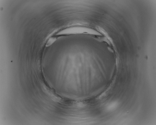 X0000075830249200610061829